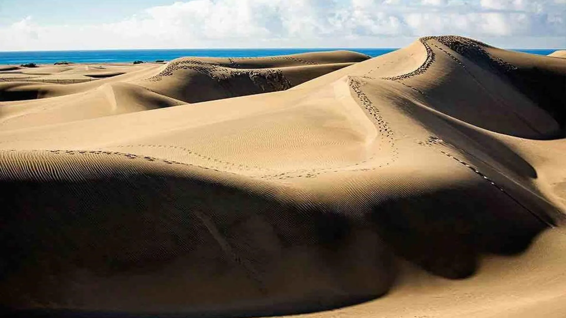 Canary Garden Club Maspalomas  Station touristique